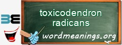 WordMeaning blackboard for toxicodendron radicans